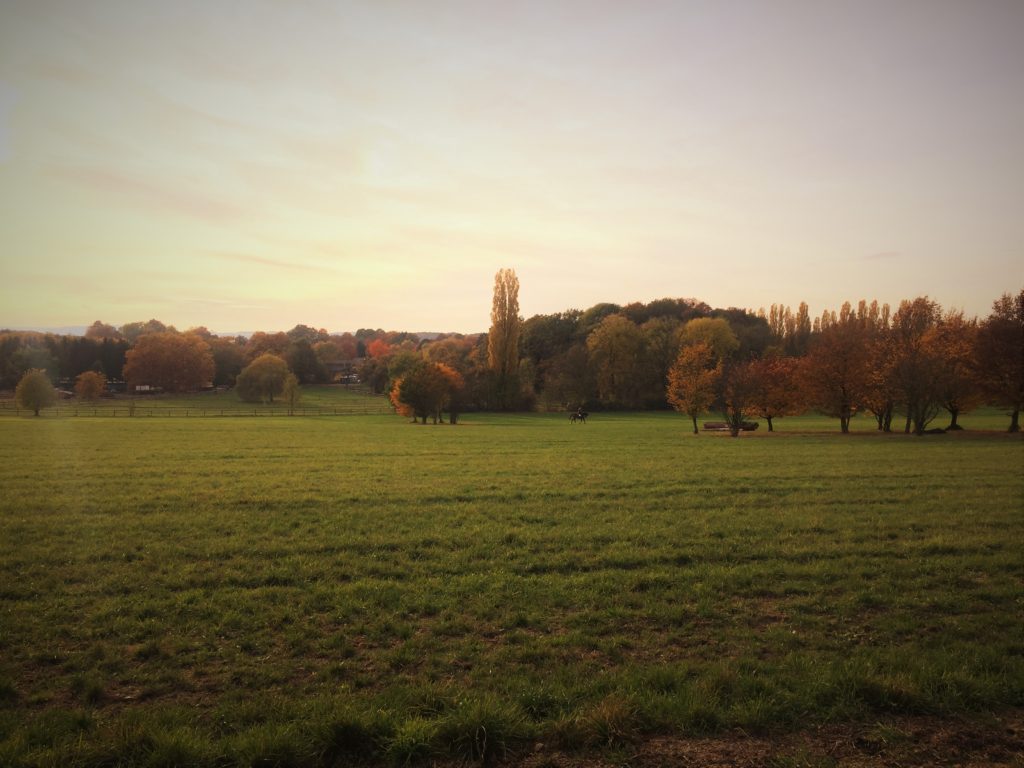 foto-01-11-16-15-30-40